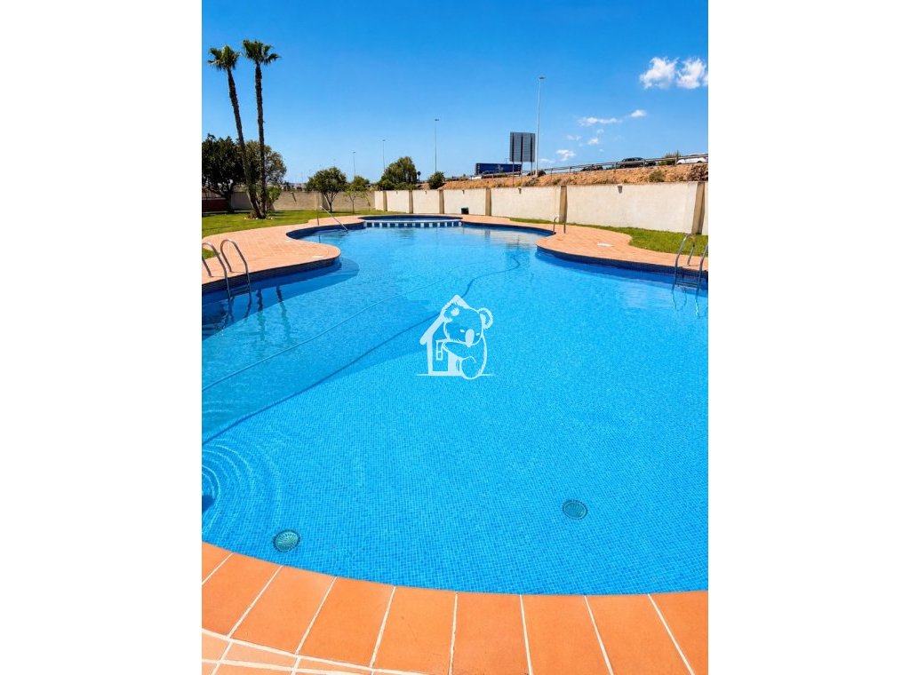 Rental - Apartment / flat - Torrevieja - Torrevieja Centro
