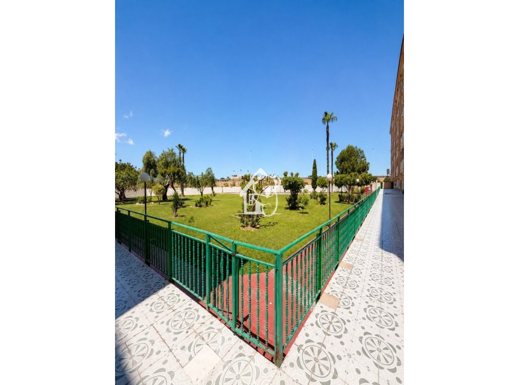 Rental - Apartment / flat - Torrevieja - Torrevieja Centro