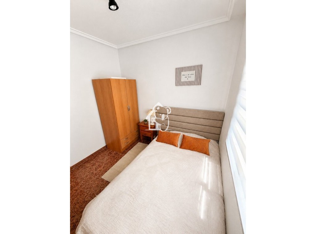 Rental - Apartment / flat - Torrevieja - Torrevieja Centro