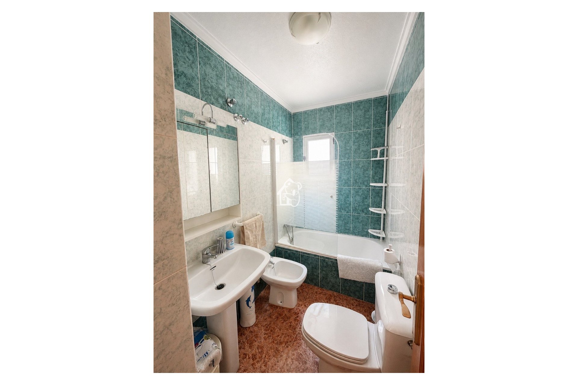 Rental - Apartment / flat - Torrevieja - Torrevieja Centro