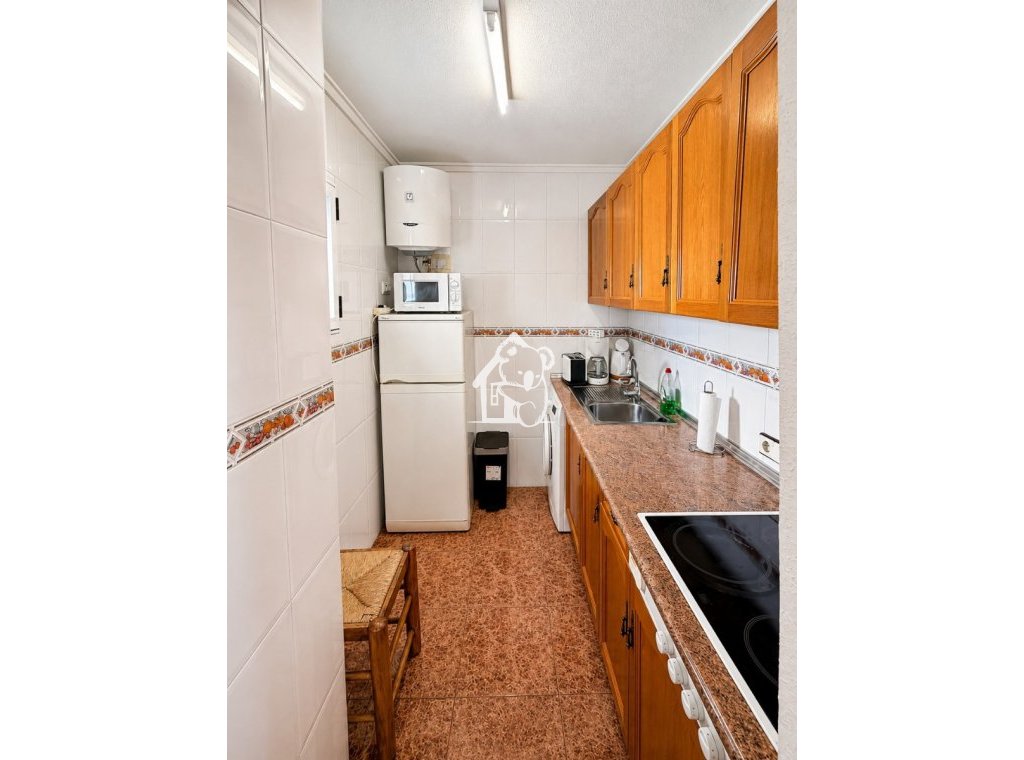 Rental - Apartment / flat - Torrevieja - Torrevieja Centro