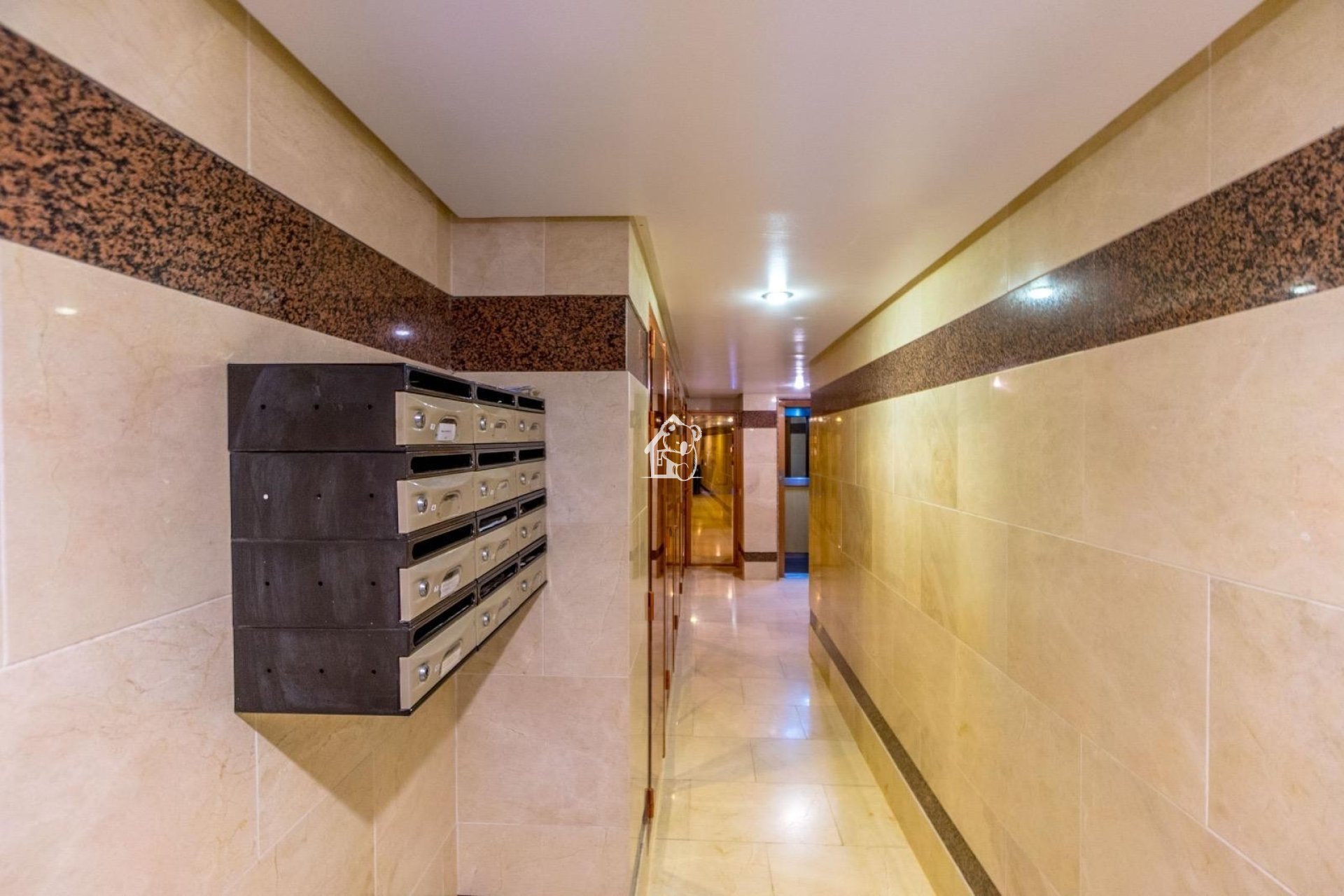 Rental - Apartment / flat - Torrevieja - Torrevieja Centro