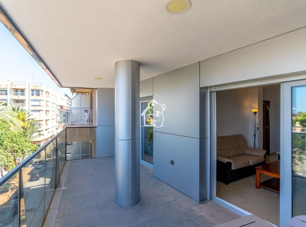 Rental - Apartment / flat - Torrevieja - Torrevieja Centro
