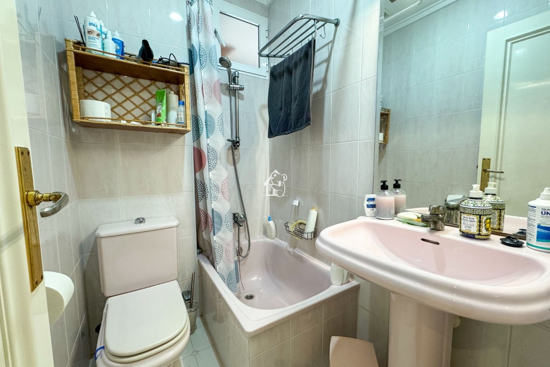 Rental - Apartment / flat - Torrevieja - Torrevieja Centro