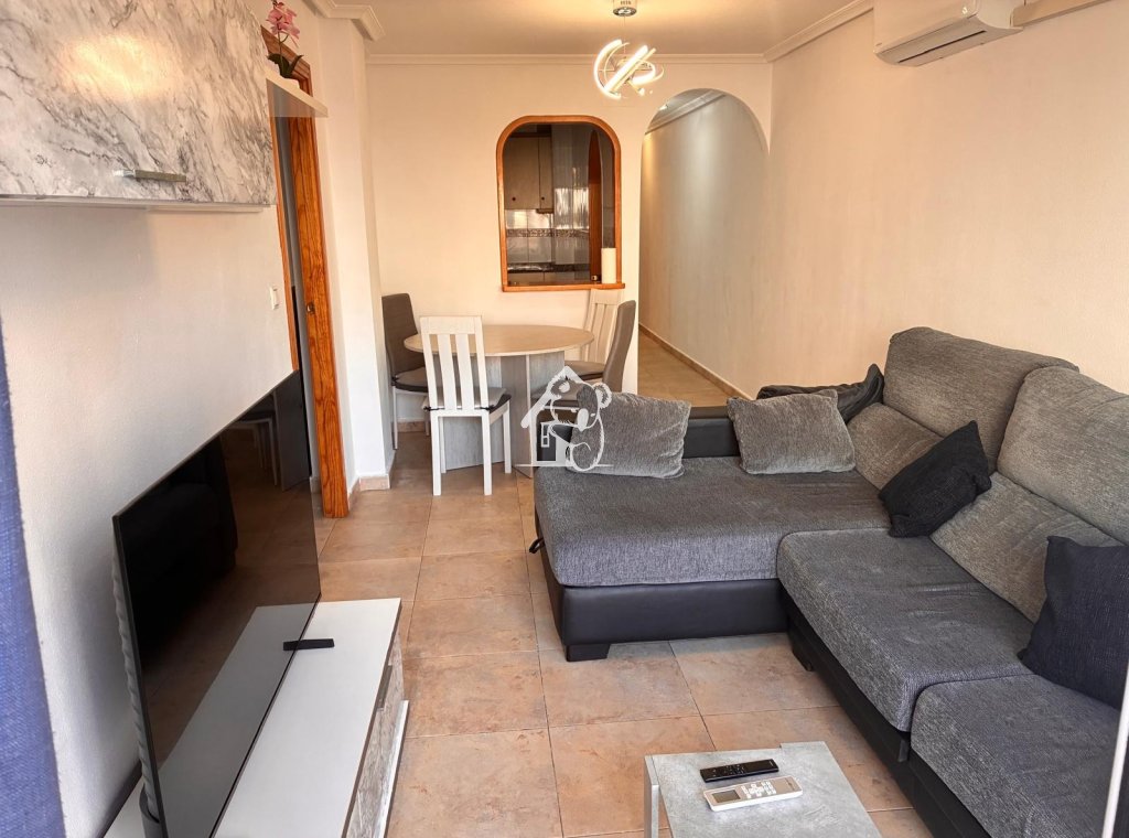 Rental - Apartment / flat - Torrevieja - Torrevieja Centro