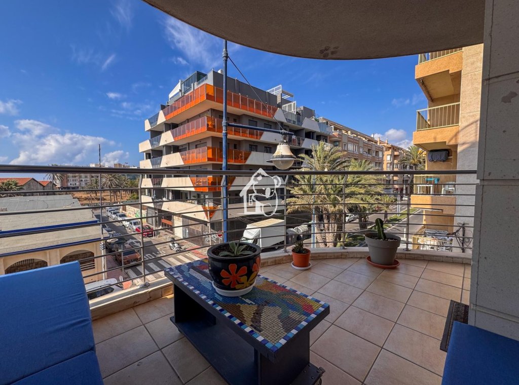 Rental - Apartment / flat - Torrevieja - Torrevieja Centro