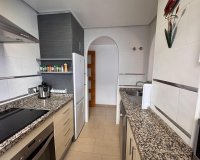 Rental - Apartment / flat - Torrevieja - Torrevieja Centro