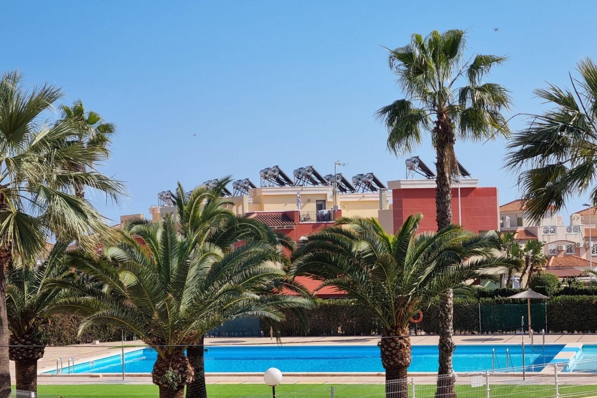 Rental - Apartment / flat - Torrevieja - Torrevieja Centro