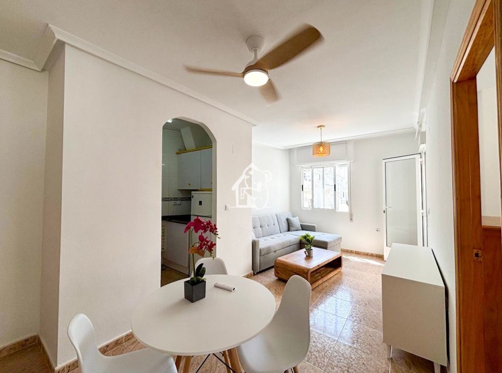 Rental - Apartment / flat - Torrevieja - Torrevieja Centro