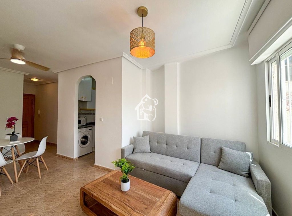 Rental - Apartment / flat - Torrevieja - Torrevieja Centro