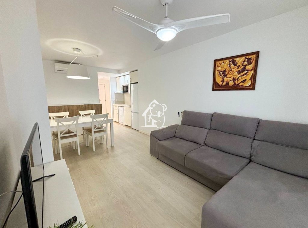 Rental - Apartment / flat - Torrevieja - Torrevieja Centro