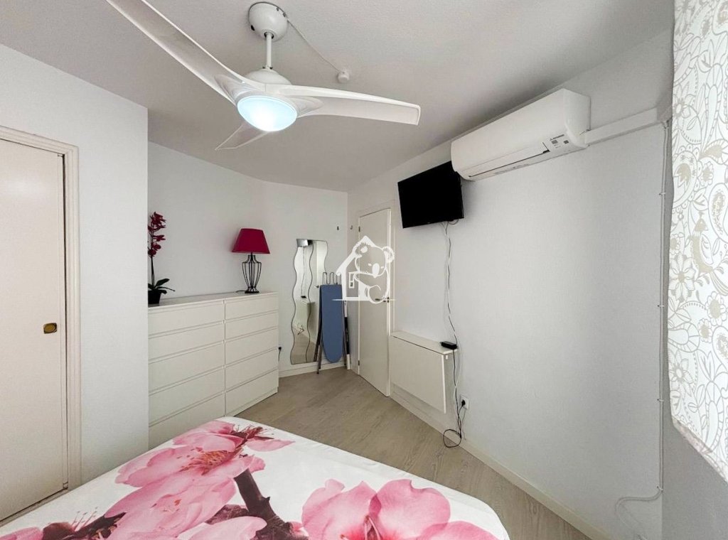 Rental - Apartment / flat - Torrevieja - Torrevieja Centro