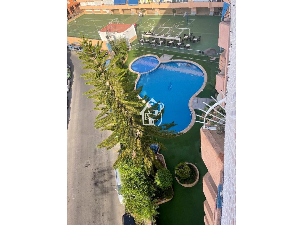 Rental - Apartment / flat - Torrevieja - Torrevieja Centro
