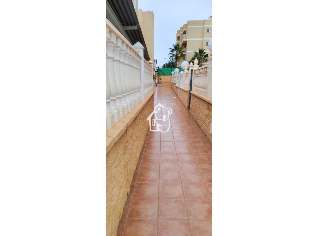 Rental - Apartment / flat - Torrevieja - Torrevieja Centro