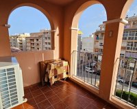 Rental - Apartment / flat - Torrevieja - Torrevieja Centro