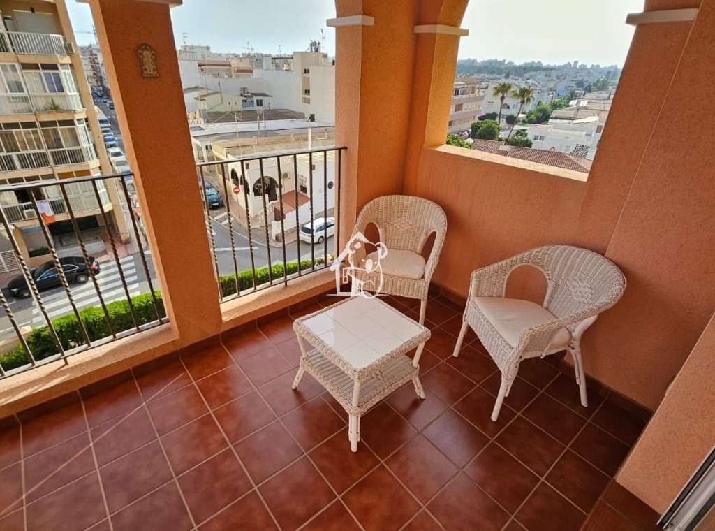 Rental - Apartment / flat - Torrevieja - Torrevieja Centro