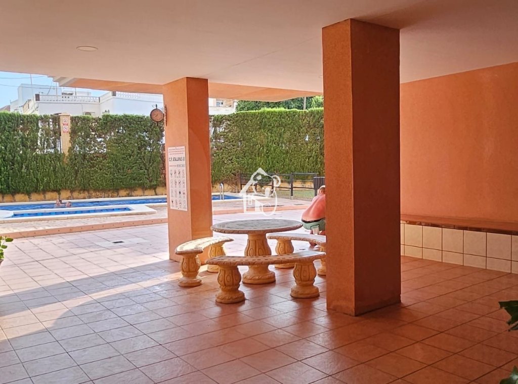 Rental - Apartment / flat - Torrevieja - Torrevieja Centro