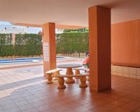 Rental - Apartment / flat - Torrevieja - Torrevieja Centro