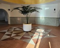 Rental - Apartment / flat - Torrevieja - Torrevieja Centro