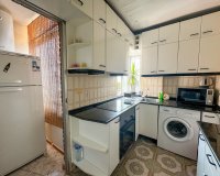 Rental - Apartment / flat - Torrevieja