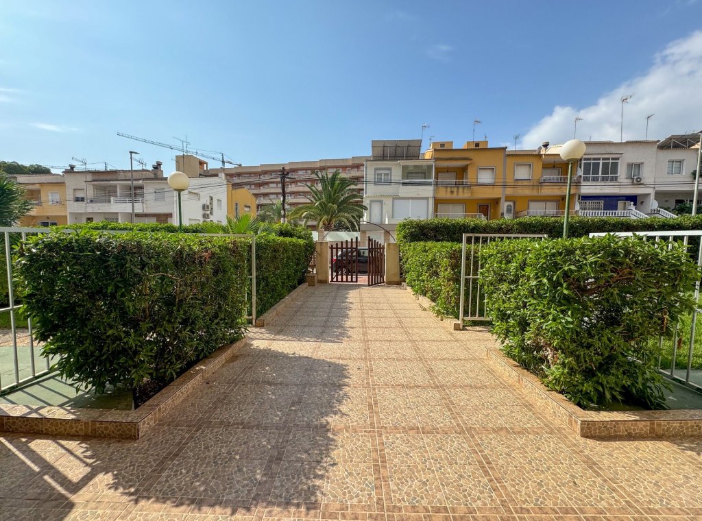 Rental - Apartment / flat - Torrevieja