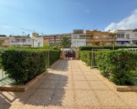 Rental - Apartment / flat - Torrevieja