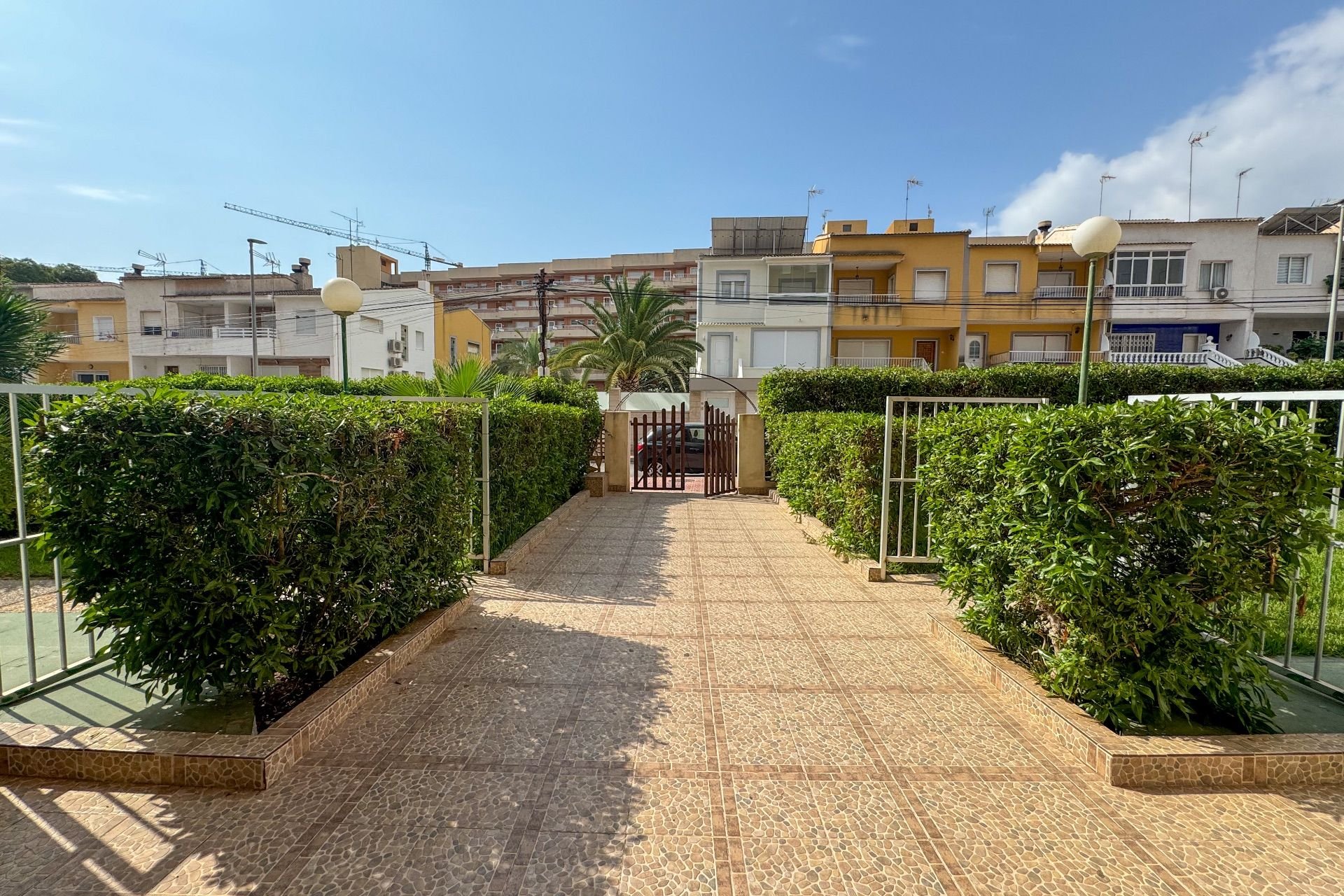 Rental - Apartment / flat - Torrevieja