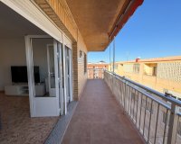 Rental - Apartment / flat - Torrevieja