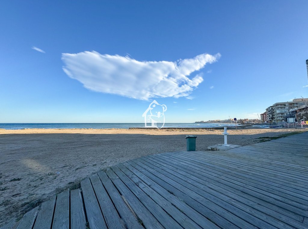 Rental - Apartment / flat - Torrevieja