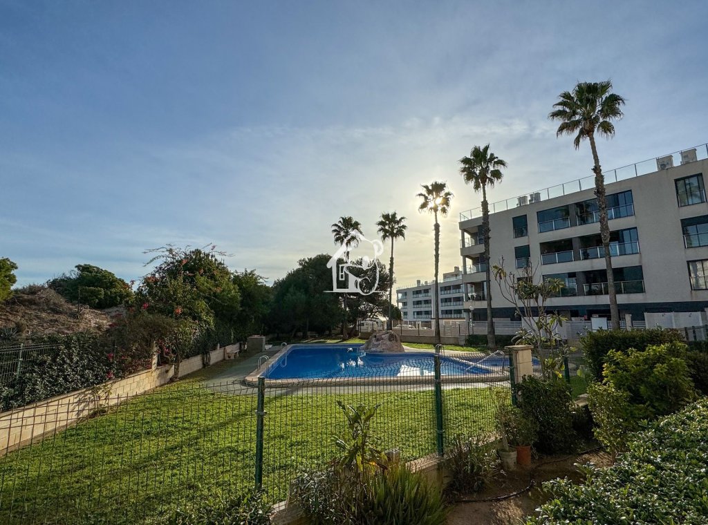 Rental - Apartment / flat - Torrevieja