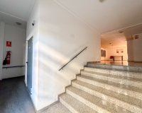 Rental - Apartment / flat - Torrevieja