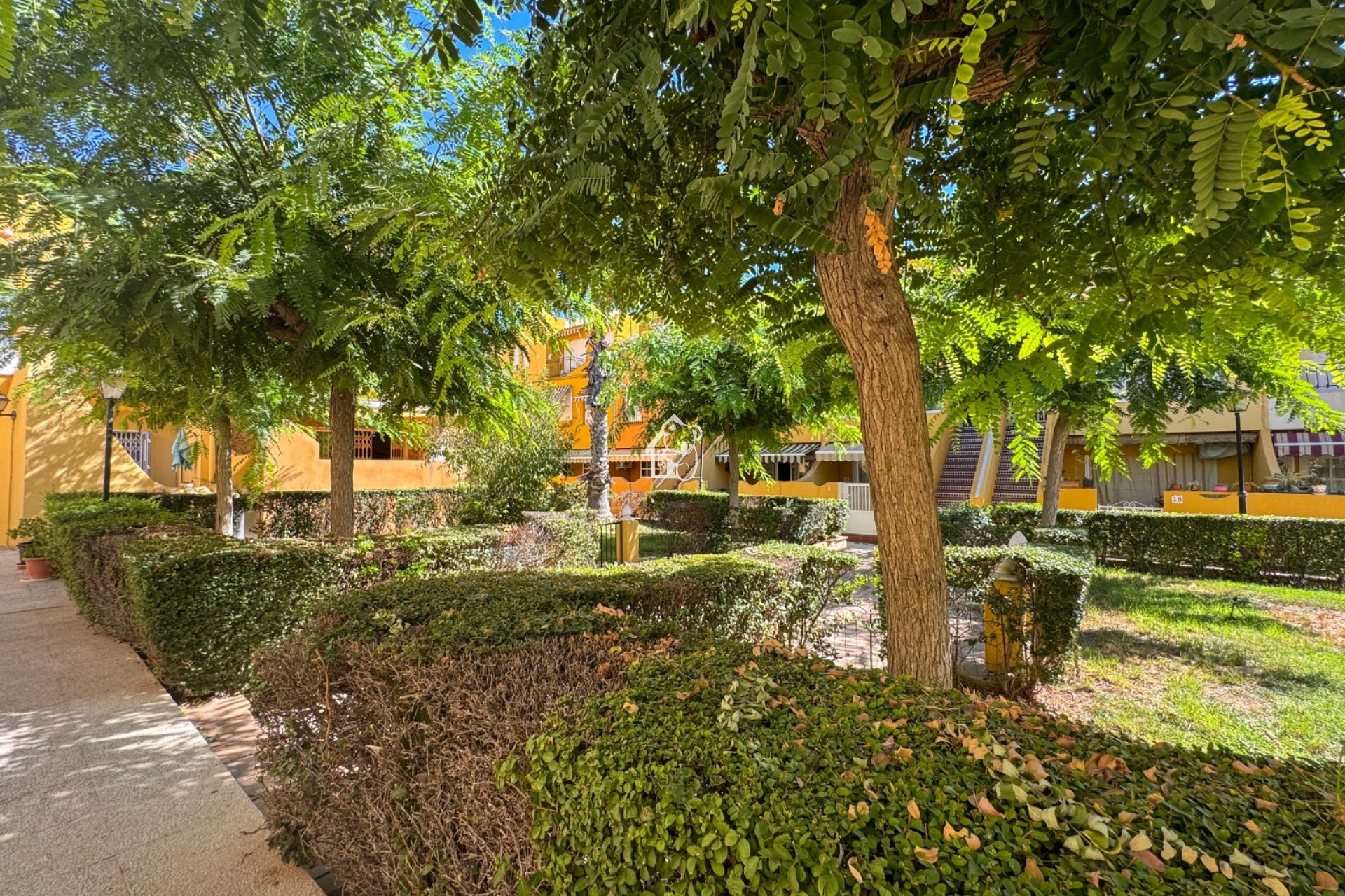 Rental - Apartment / flat - Torrevieja