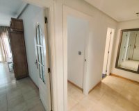 Rental - Apartment / flat - Torrevieja