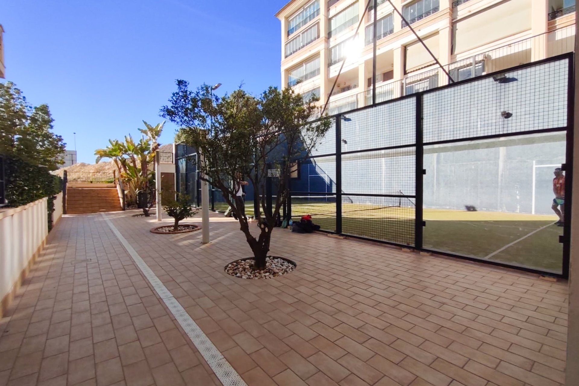 Rental - Penthouse - Guardamar del Segura