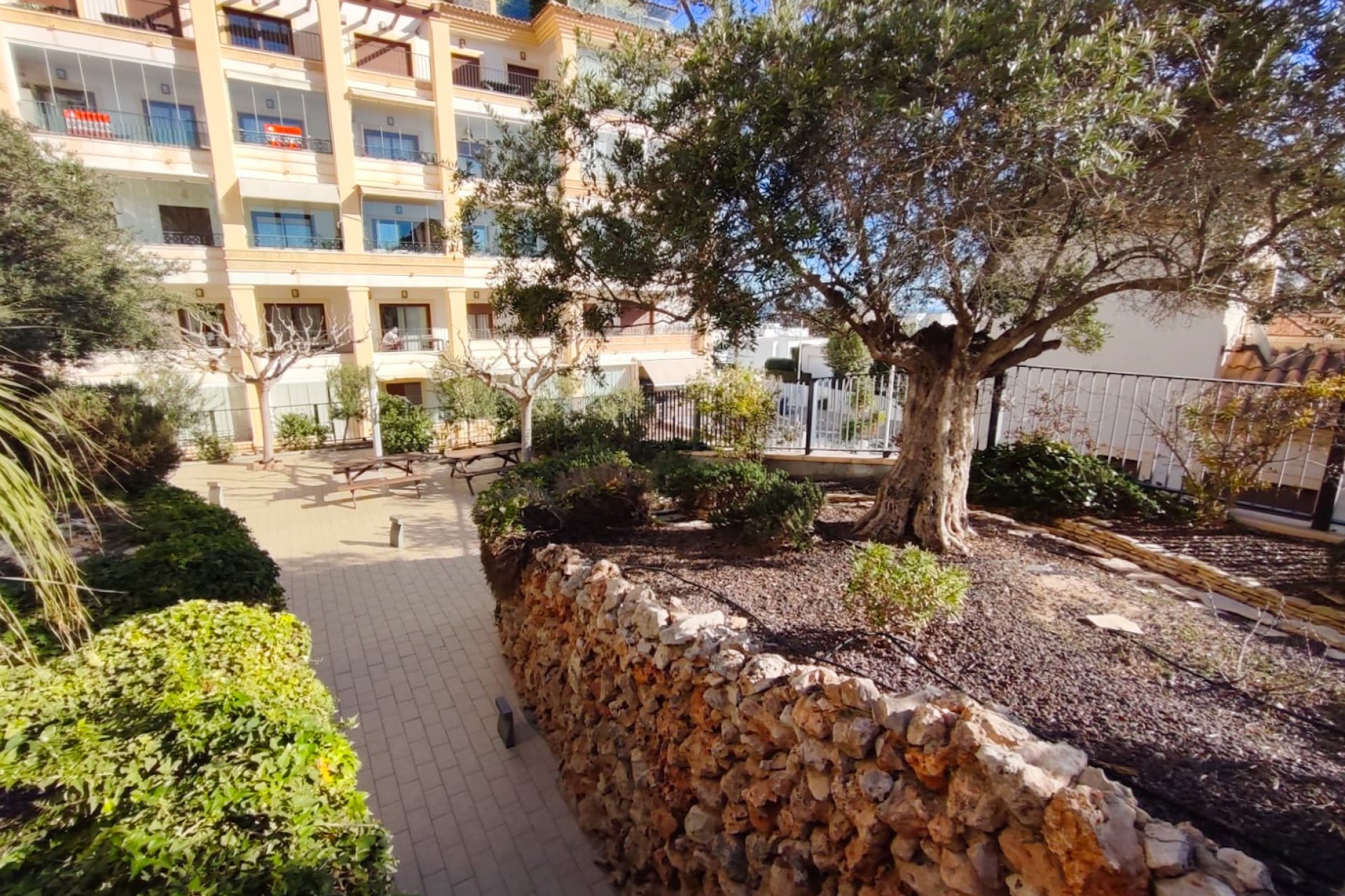 Rental - Penthouse - Guardamar del Segura