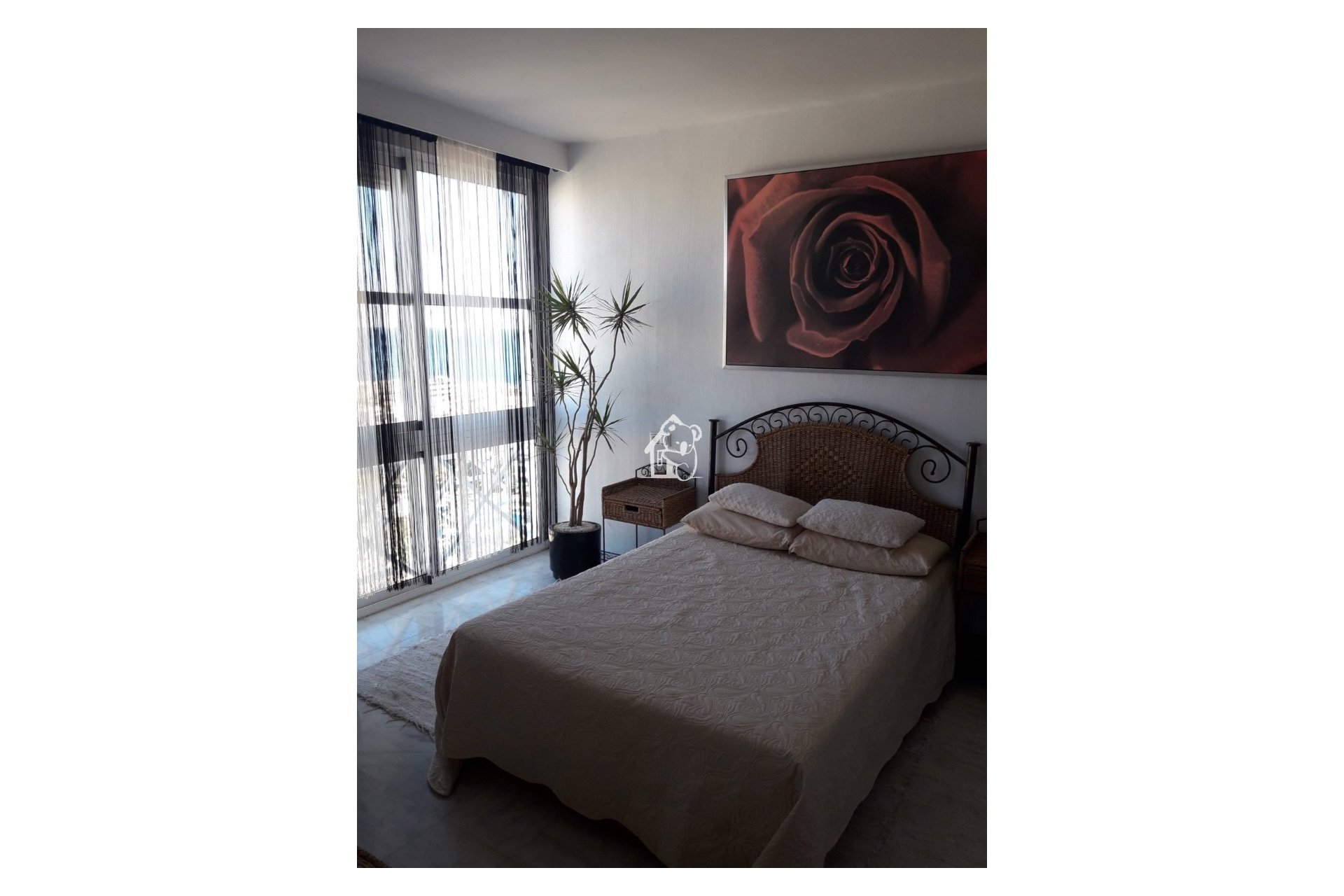 Rental - Penthouse - Torrevieja - Playa de los Locos