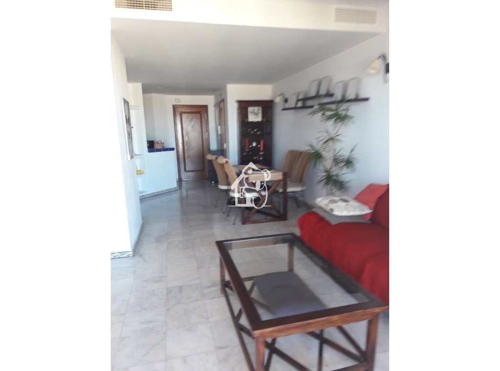 Rental - Penthouse - Torrevieja - Playa de los Locos