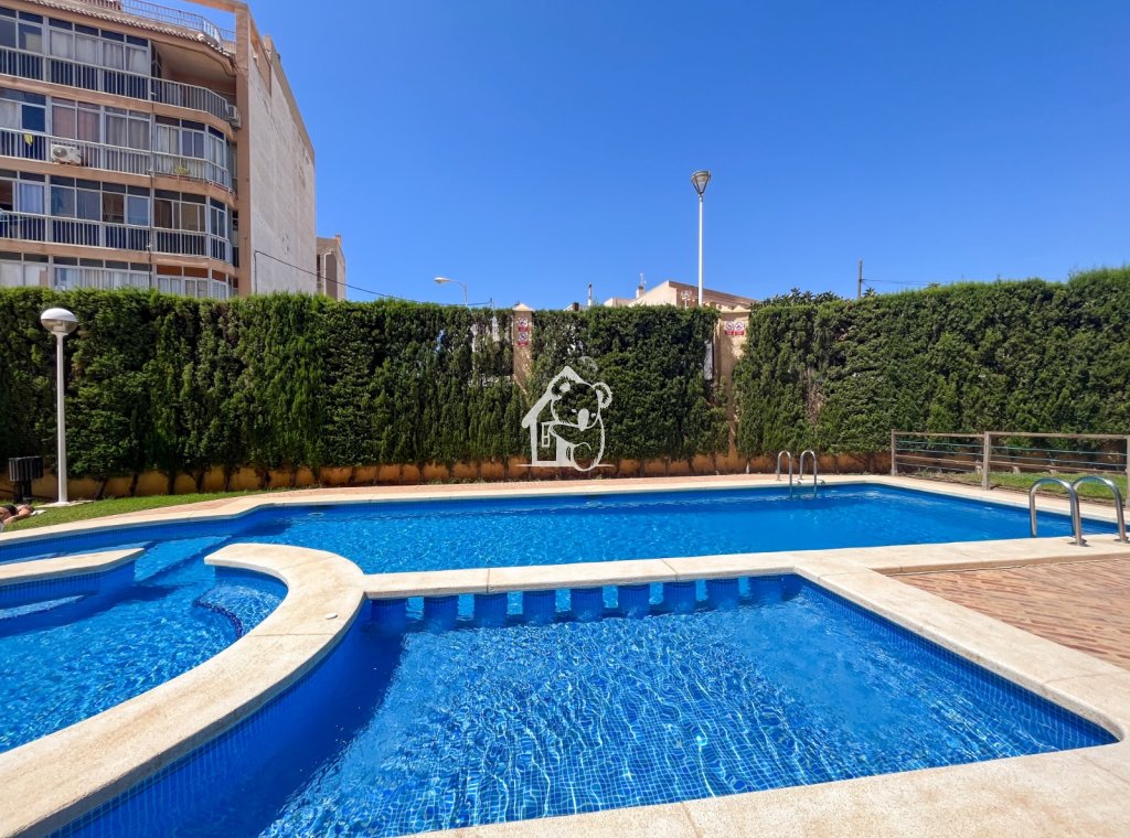 Rental - Penthouse - Torrevieja - Playa de los Locos