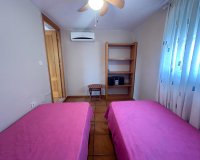 Rental - Townhouse - Torrevieja - Nueva Torrevieja - Aguas Nuevas