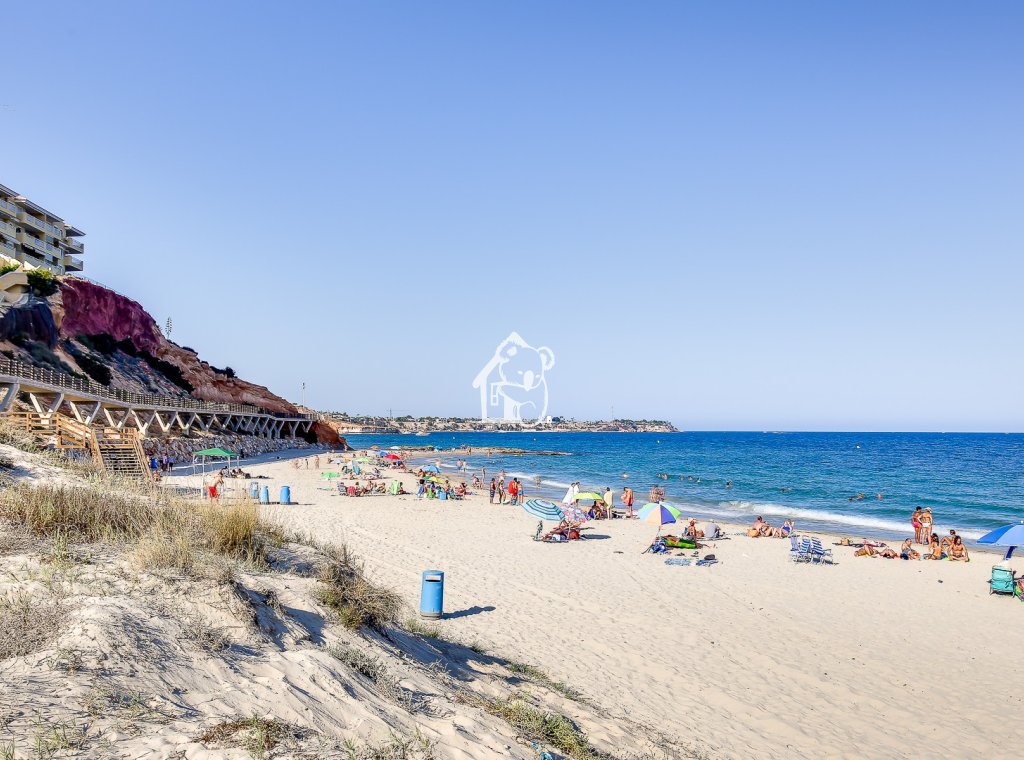 Rental - Villa - Orihuela Costa - Cabo roig - La Zenia