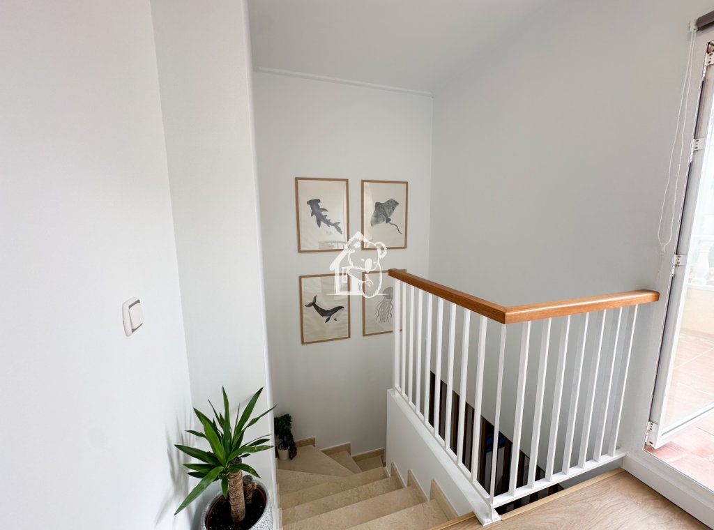 Rental - Villa - Orihuela Costa - Cabo roig - La Zenia