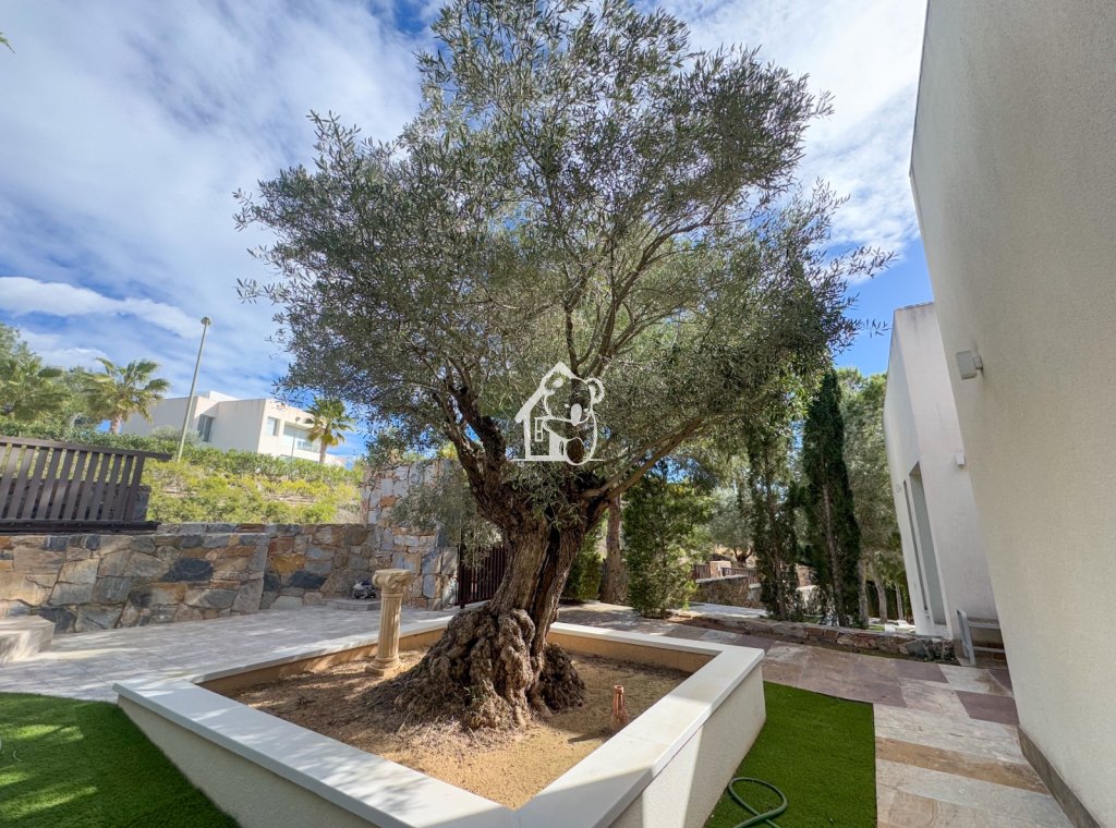 Rental - Villa - Orihuela Costa - Campos de Golf