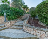 Rental - Villa - Orihuela Costa - Villamartín