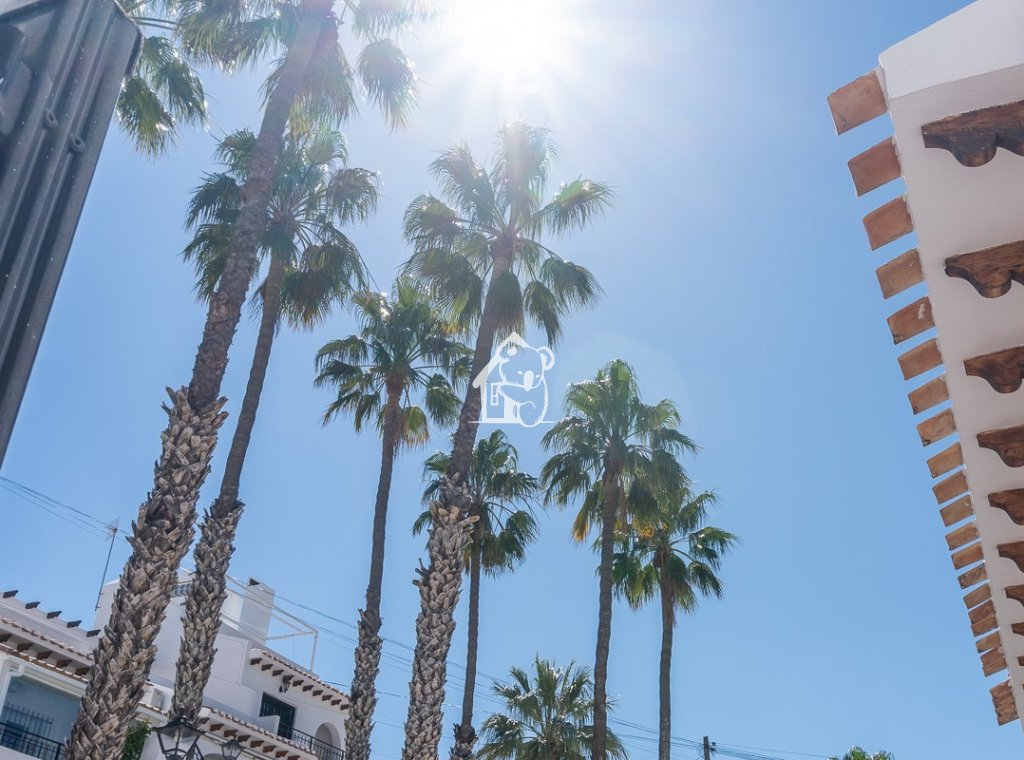 Rental - Villa - Orihuela Costa - Villamartín