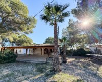 Rental - Villa - Pilar de la Horadada - Pinar de Campoverde