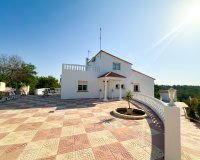 Rental - Villa - Pilar de la Horadada - Pinar de Campoverde