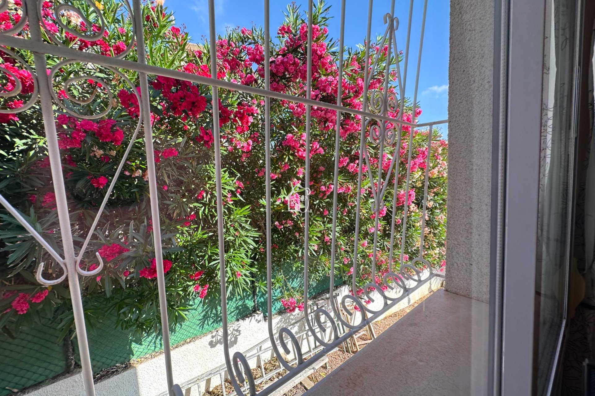 Rental - Villa - Rojales - Ciudad Quesada