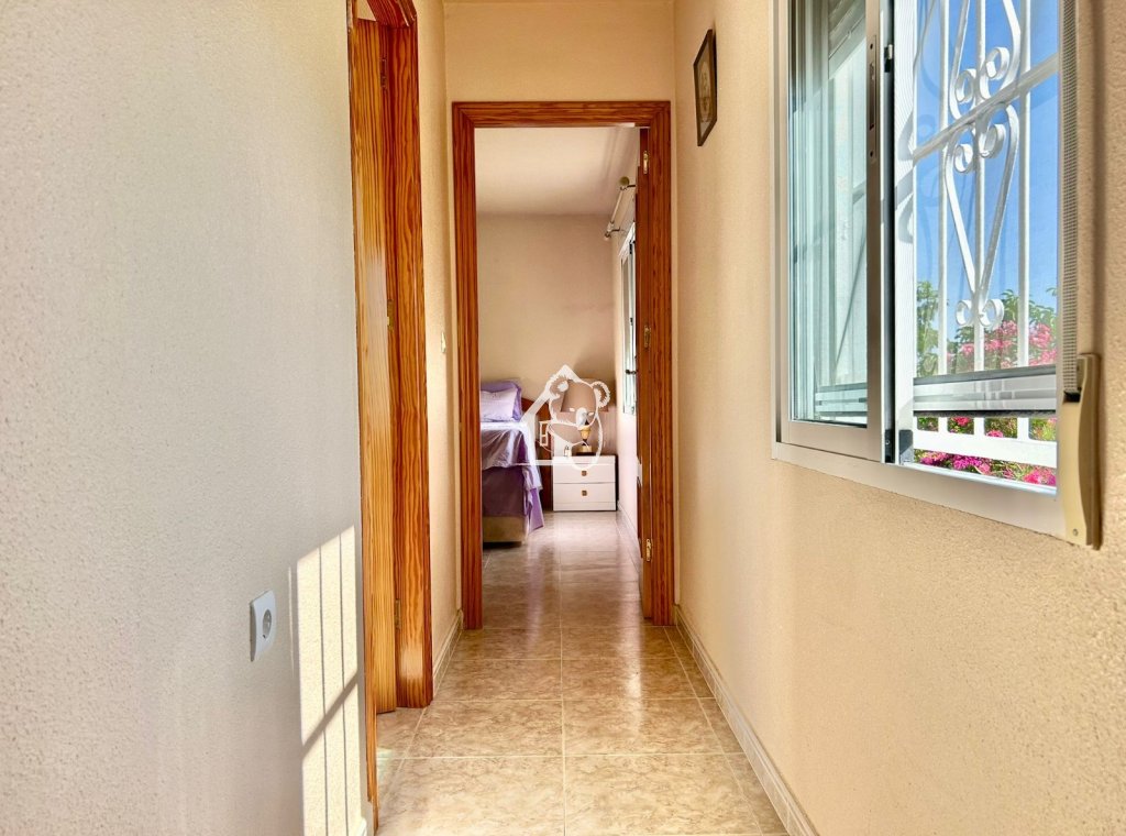 Rental - Villa - Torrevieja - La Siesta - El Salado -  Torreta