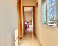 Rental - Villa - Torrevieja - La Siesta - El Salado -  Torreta