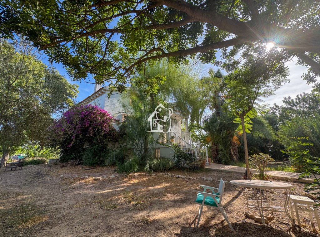 Rental - Villa - Torrevieja - Los Balcones - Los Altos del Edén